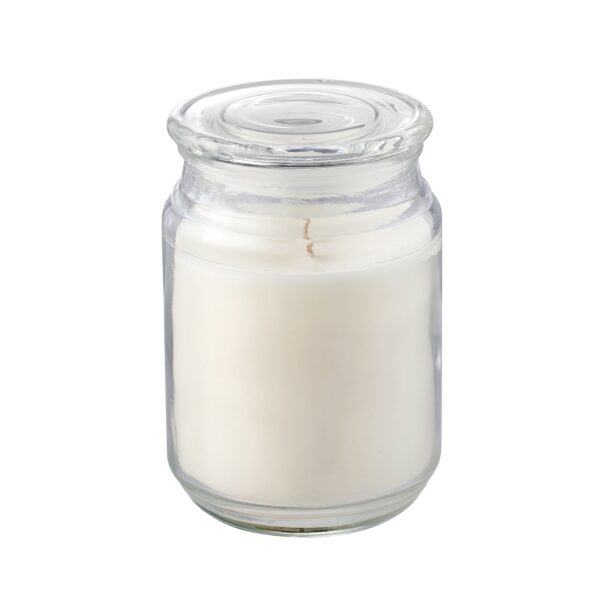 Island Escape Soy Blend Candle - Image 4